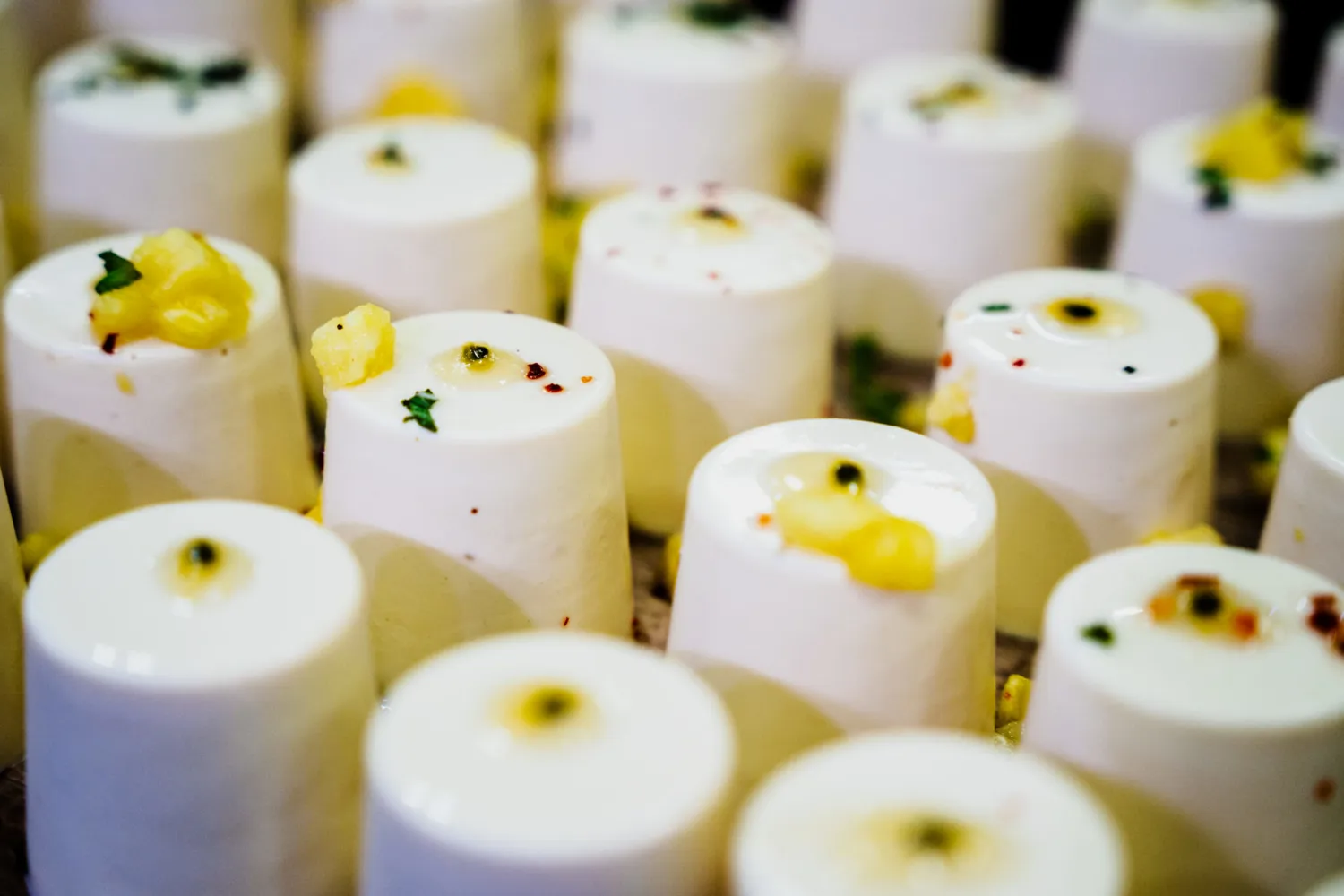 Cupcakes with creamy frosting and garnished with fresh citrus slices and herbs arranged neatly in rows. Each dessert features a light, fluffy texture and decorative elements on top.