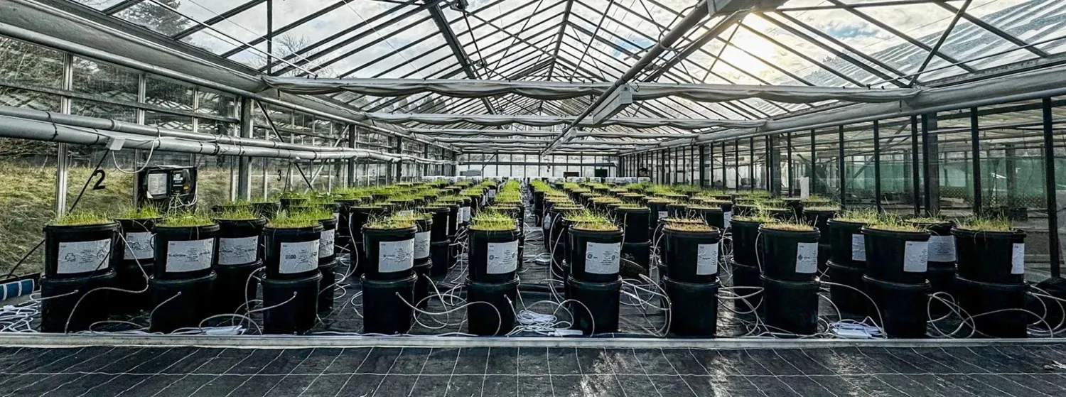 Bringing together the puzzle pieces: Carbon Drawdown Symposium